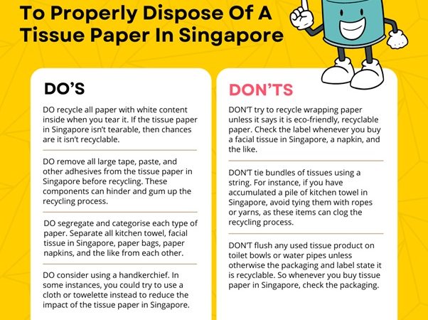 A List Of Dos And Don’ts To Properly Dispose Of A Tissue Paper In Singapore